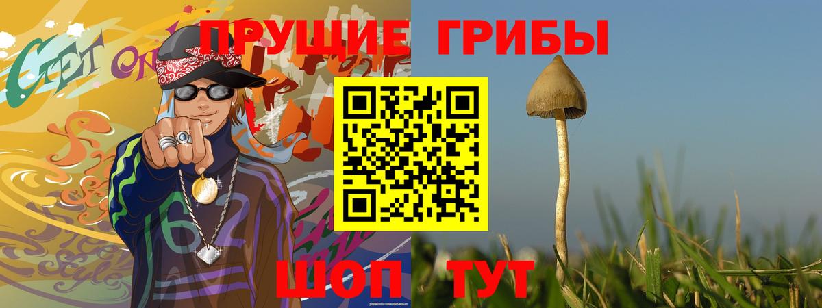 Великий Устюг  Галлюциногенные грибы Magic Shrooms  Вход с VPN 